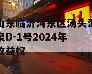 山东临沂河东区汤头温泉D-1号2024年收益权