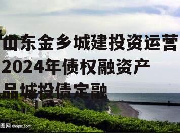 山东金乡城建投资运营2024年债权融资产品城投债定融