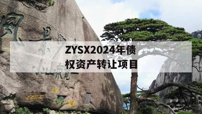 ZYSX2024年债权资产转让项目