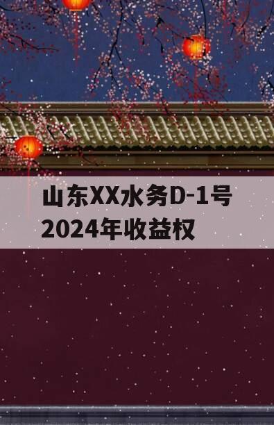 山东XX水务D-1号2024年收益权