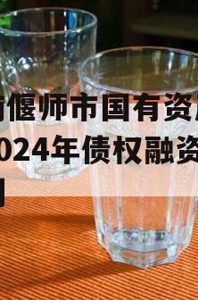 河南偃师市国有资产经营2024年债权融资计划