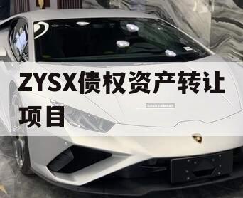 ZYSX债权资产转让项目