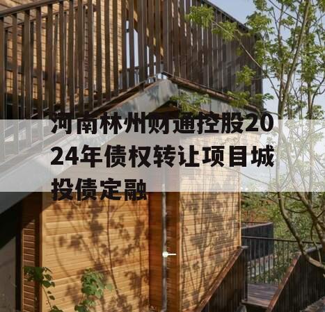 河南林州财通控股2024年债权转让项目城投债定融