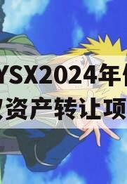 ZYSX2024年债权资产转让项目