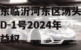 山东临沂河东区汤头温泉D-1号2024年收益权