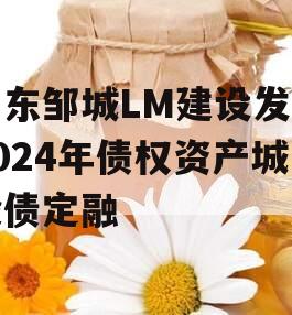 山东邹城LM建设发展2024年债权资产城投债定融