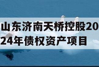 山东济南天桥控股2024年债权资产项目