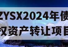 ZYSX2024年债权资产转让项目