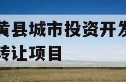 内黄县城市投资开发债权转让项目