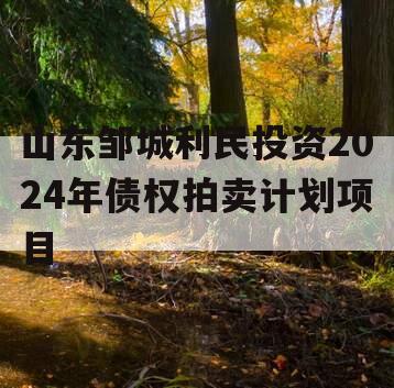 山东邹城利民投资2024年债权拍卖计划项目