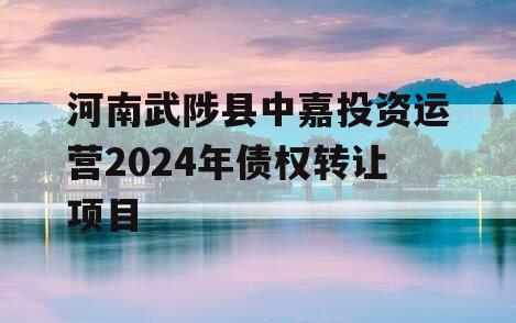 河南武陟县中嘉投资运营2024年债权转让项目