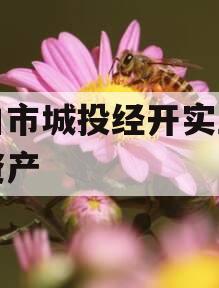 周口市城投经开实业债权资产