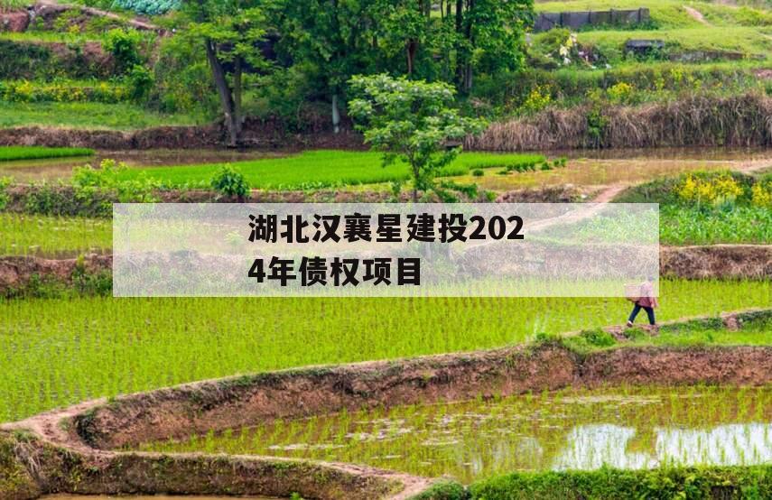 湖北汉襄星建投2024年债权项目