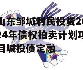 山东邹城利民投资2024年债权拍卖计划项目城投债定融