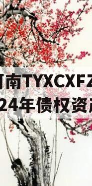 河南TYXCXFZ2024年债权资产