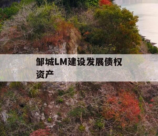 邹城LM建设发展债权资产