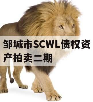 邹城市SCWL债权资产拍卖二期