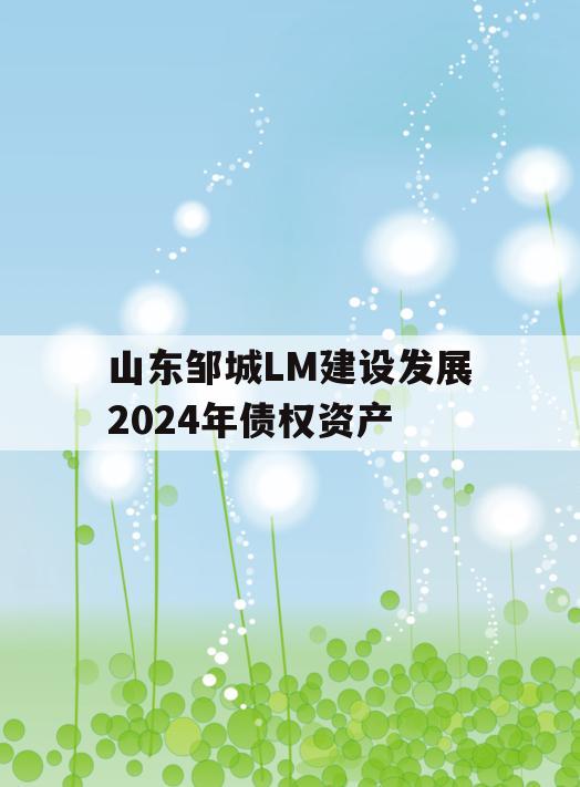 山东邹城LM建设发展2024年债权资产